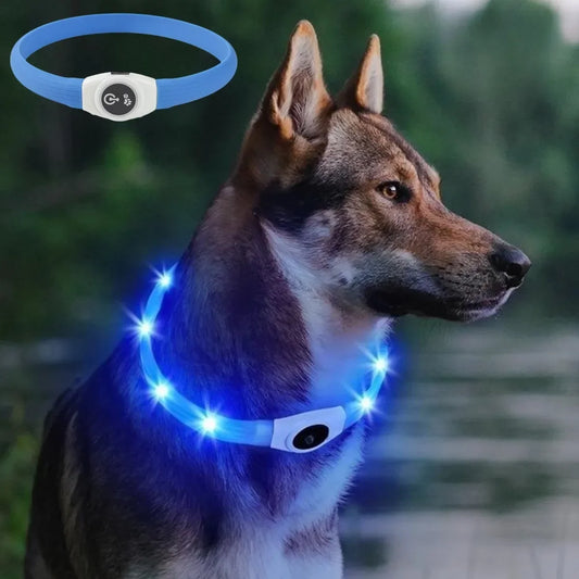 Led Luminous Dog Collar PVC Waterproof , Usb Light Night Safety Pet