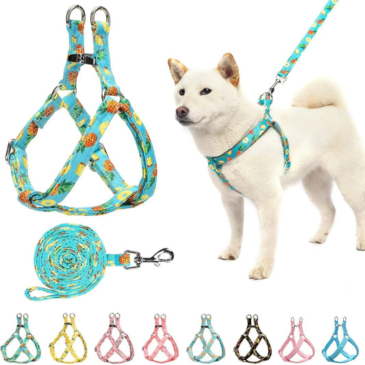 Small Medium Adjustable Heavy Duty No Pull Vest Harness and Leash Set Comfortable Design