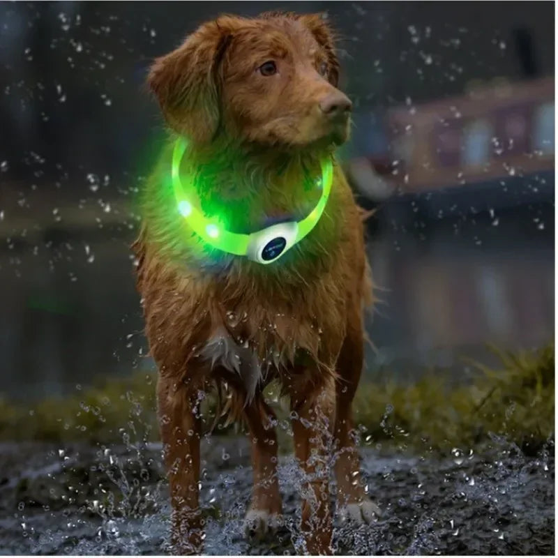 Led Luminous Dog Collar PVC Waterproof , Usb Light Night Safety Pet