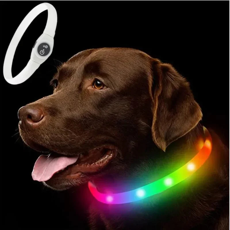 Led Luminous Dog Collar PVC Waterproof , Usb Light Night Safety Pet